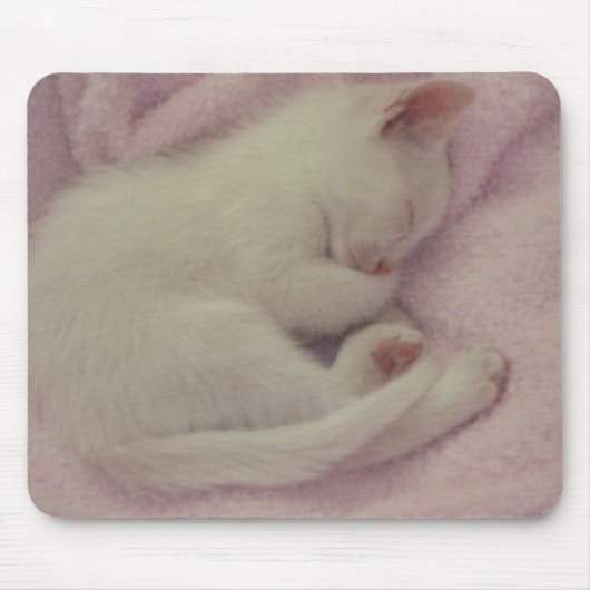 TAPIS DE SOURIS DSCN0654 (Devant)