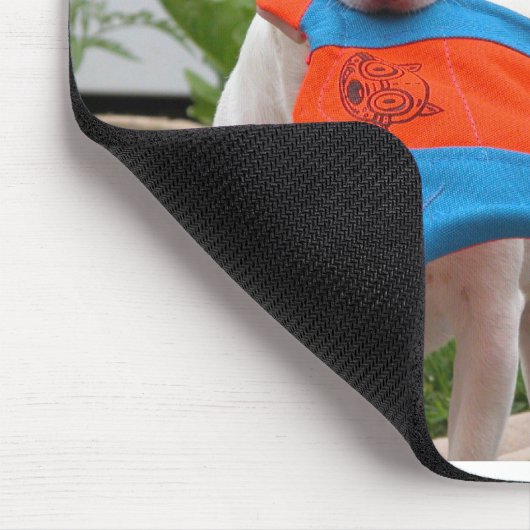 Tapis De Souris DSCN6701, où est la souris ? (Coin)