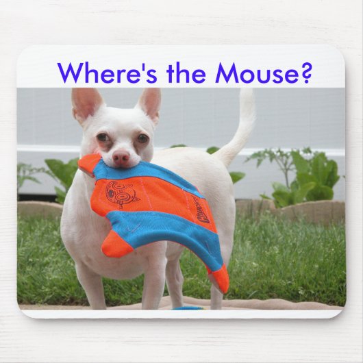 Tapis De Souris DSCN6701, où est la souris ? (Devant)