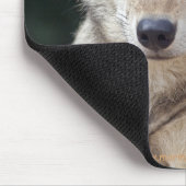 Tapis de souris du loup gris (Coin)
