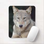 Tapis de souris du loup gris (Avec souris)