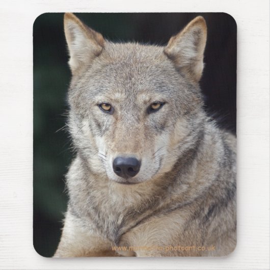 Tapis de souris du loup gris (Devant)