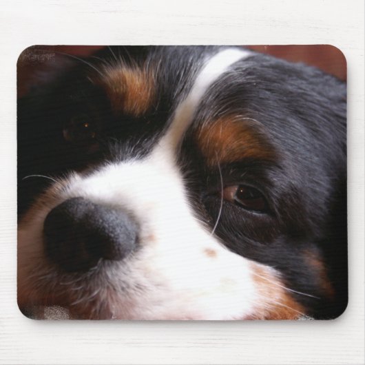 Tapis de souris du Roi Charles Cavalier Spaniel (Devant)