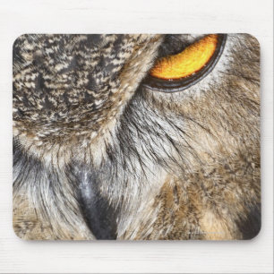Tapis De Souris Duc D'Eurasien (bubo de Bubo)
