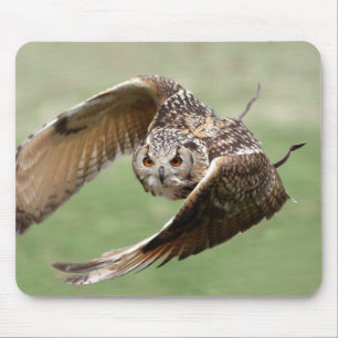 Tapis De Souris Duc En vol