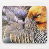 TAPIS DE SOURIS DUCKS (Devant)