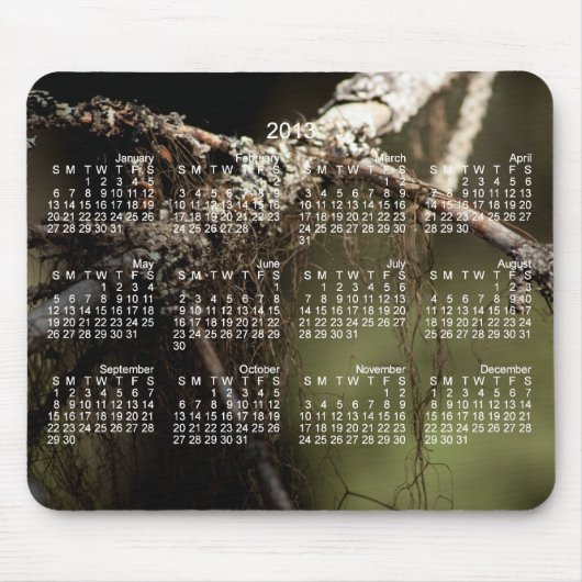 Tapis De Souris Duvet de forêt ; Calendrier 2013 (Devant)
