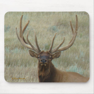 Tapis De Souris E10 Bull Elk dans une balle de tête en velours
