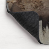 Tapis De Souris E63 Bull Elk et Pronghorn Antelope (Coin)