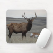 Tapis De Souris E63 Bull Elk et Pronghorn Antelope (Avec souris)