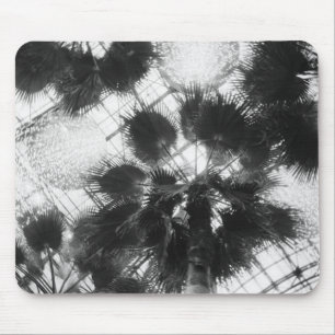 Tapis De Souris É.-U., États-Unis, New York, New York City. Palmie
