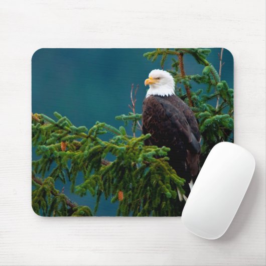 Tapis De Souris Eagle chauve (Avec souris)