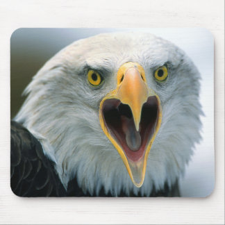 Tapis De Souris Eagle chauve #2-Mousepad