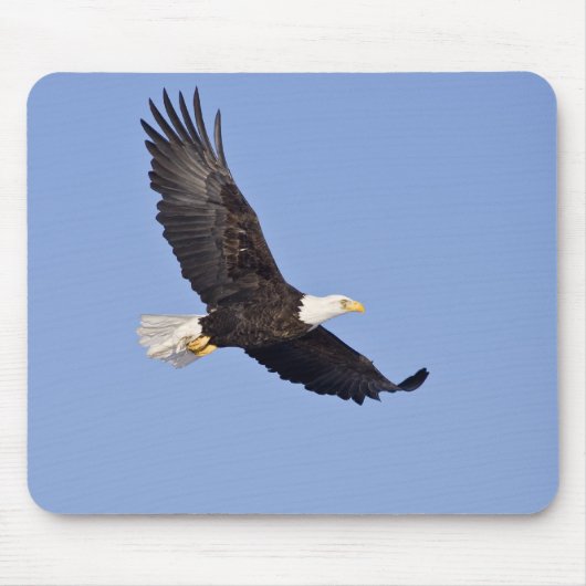 Tapis De Souris Eagle chauve américain (Devant)