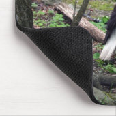 Tapis De Souris Eagle chauve américain (Coin)