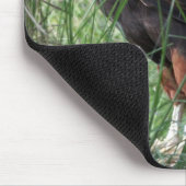 Tapis De Souris Eagle Mousepad (Coin)