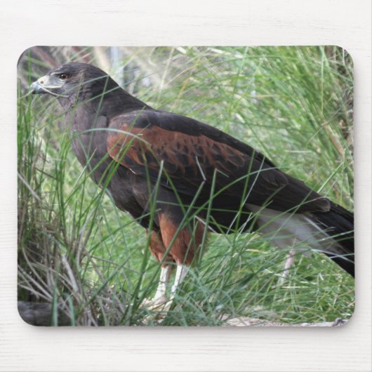 Tapis De Souris Eagle Mousepad (Devant)