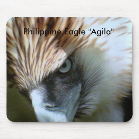 Tapis De Souris , Eagle philippin "Agila " (Devant)