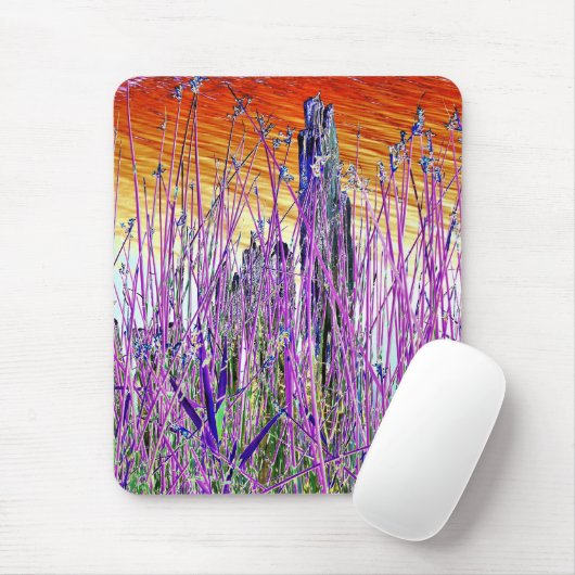 TAPIS DE SOURIS EAU (Avec souris)