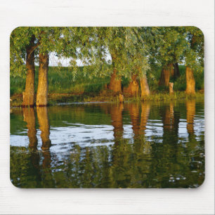 Tapis De Souris Eau fluviale et arbres