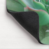Tapis De Souris Echeveria "Tippy (Coin)