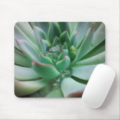 Tapis De Souris Echeveria "Tippy (Avec souris)