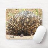 Tapis De Souris echidna_01, Pat (Avec souris)