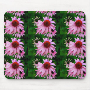 Tapis De Souris échinacée rose sur la bouche verte