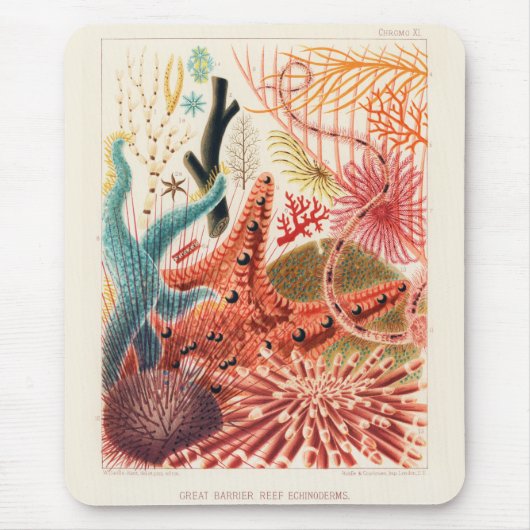 Tapis De Souris Echinodermes australiens de la Grande Barrière de (Devant)