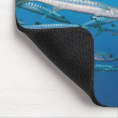 Tapis De Souris École de barracuda (Sphyraena qenie) (Coin)