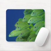 Tapis De Souris Ecole de grunts bleus français et marguerites (Avec souris)