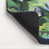 Tapis De Souris École de poissons 7 (Coin)