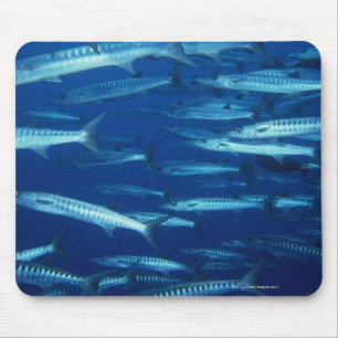 Tapis De Souris École des poissons 9