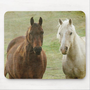 Tapis De Souris Écordes