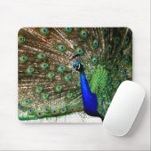 Tapis De Souris Écran Peacock Homme (Avec souris)