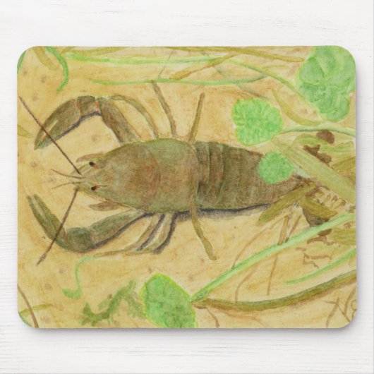 Tapis De Souris Écrepoisson (Devant)