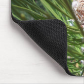 Tapis De Souris Écrous de cône de pin (Coin)