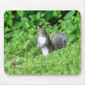 Tapis De Souris Écureuil (Devant)