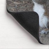 Tapis De Souris Écureuil (Coin)
