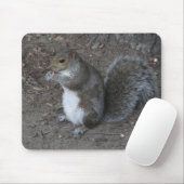 Tapis De Souris Écureuil (Avec souris)