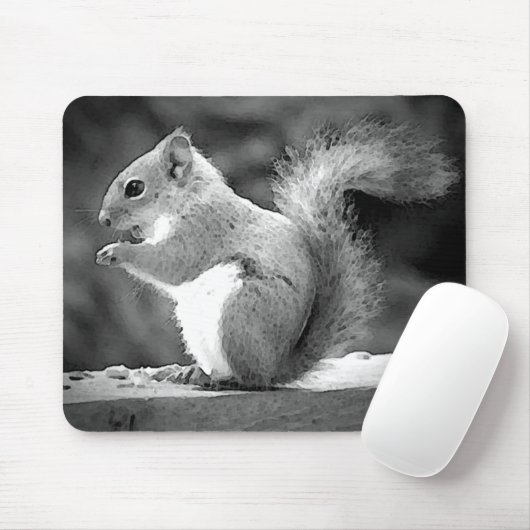 Tapis De Souris Écureuil (Avec souris)