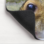 Tapis De Souris écureuil (Coin)