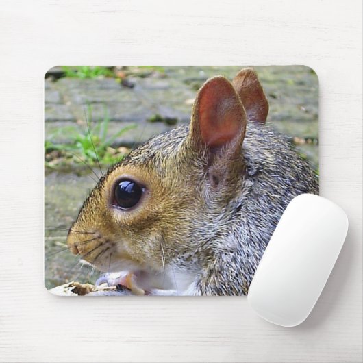 Tapis De Souris écureuil (Avec souris)