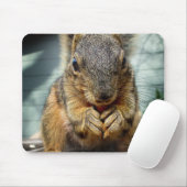 Tapis De Souris Écureuil 1 (Avec souris)