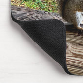 Tapis De Souris Écureuil affamé (Coin)
