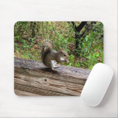 Tapis De Souris Écureuil affamé (Avec souris)