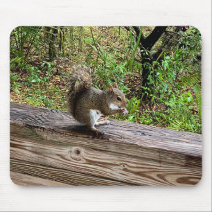 Tapis De Souris Écureuil affamé