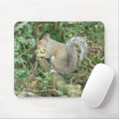 Tapis De Souris Écureuil avec Mousepad Acorn (Avec souris)