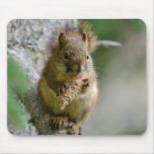 Tapis De Souris Écureuil Brown entre les branches - Faune canadien (Devant)