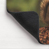 Tapis De Souris Écureuil - confiance (Coin)